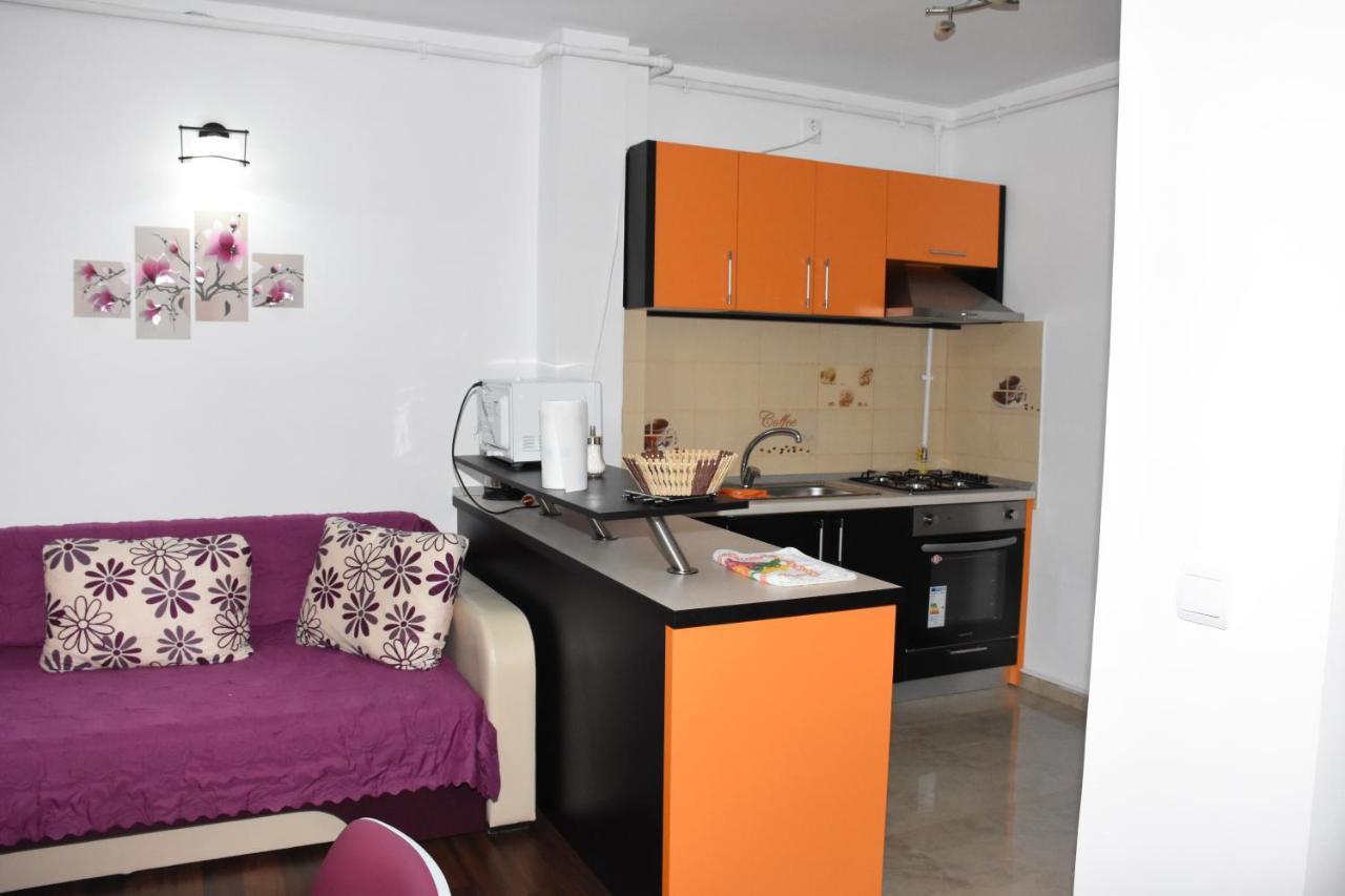 Hotel Apartament Eldya Comfort&Suites Predeal Exterior photo